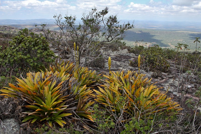 Parque Natural Municipal Morro do Pai Inácio, lençóis