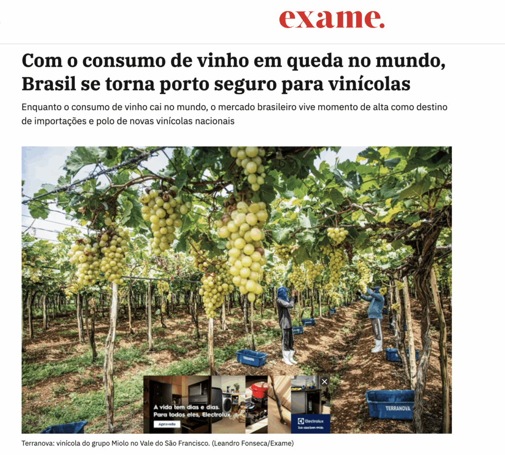 consumo de vinho cresce no brasil