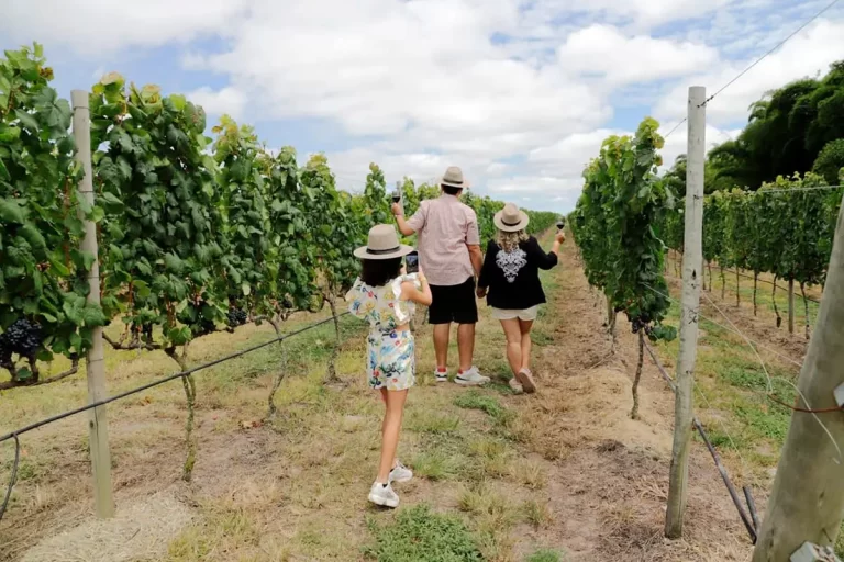 vinhem em morro do chapeu