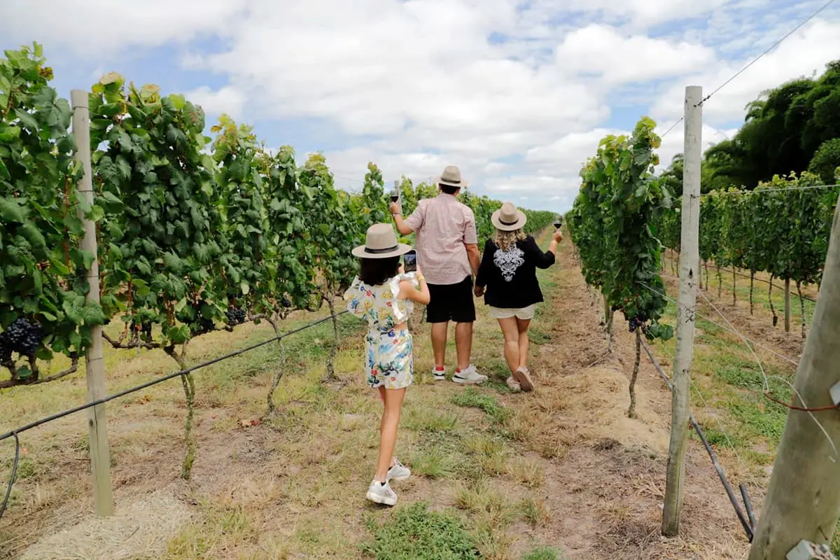 vinhem em morro do chapeu